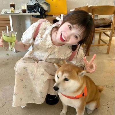 9号秘事第四季